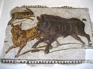 did romans have dogs as pets