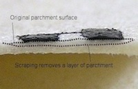 Tool used to scrape writing from parchment